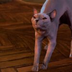 Een screenshot van de majestueuze His Majesty in Baldur's Gate 3