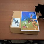 De doos van de Volkstuinmoord, onder inspectie van mascotte Wednesday