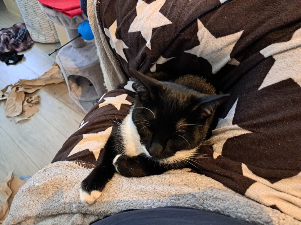 Siena ligt tevreden bij mij op schoot