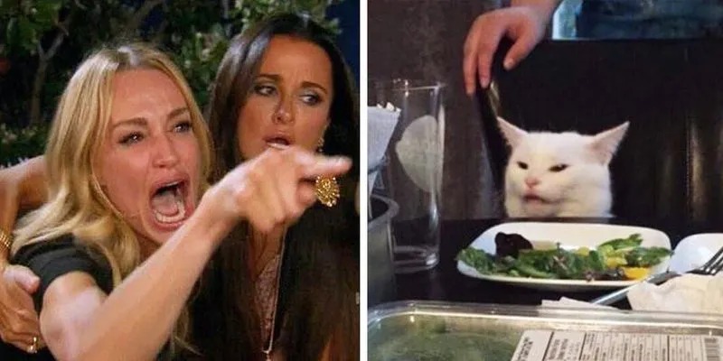 De beroemde 'vrouw wijst naar kat'-meme.