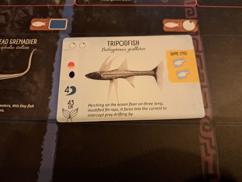 De Tripod Fish van Finspan.